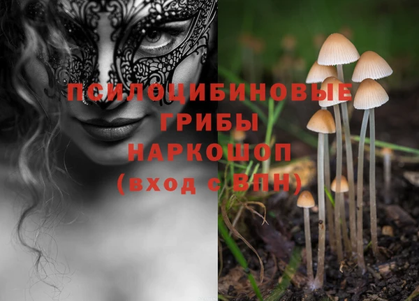 бошки Богородск