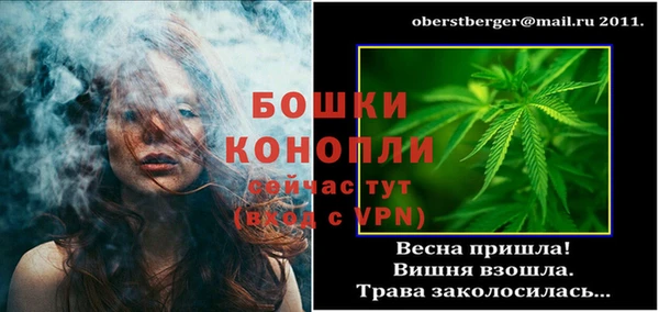 бошки Богданович